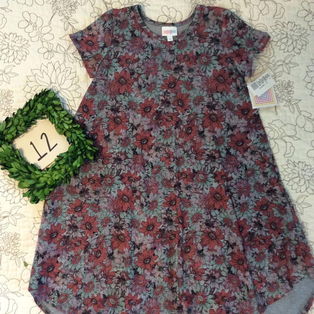 NWT LuLaRoe Scarlett size 12